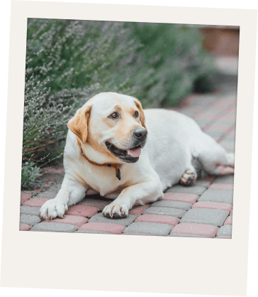 Imagen de residencias de personas mayores y centros de día